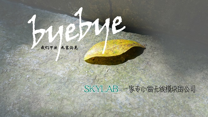 SKYLAB，一家做无线模块的公司