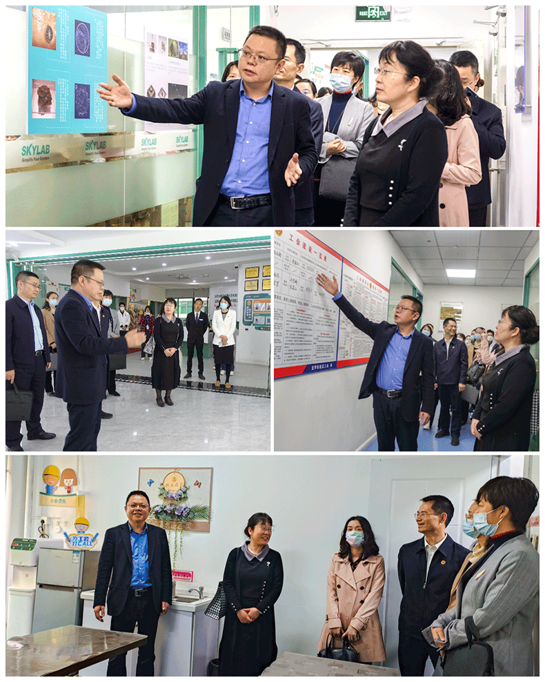 全国总工会法律工作部副部长朱艳丽一行到ag九游老哥俱乐部测控开展专项调研.png