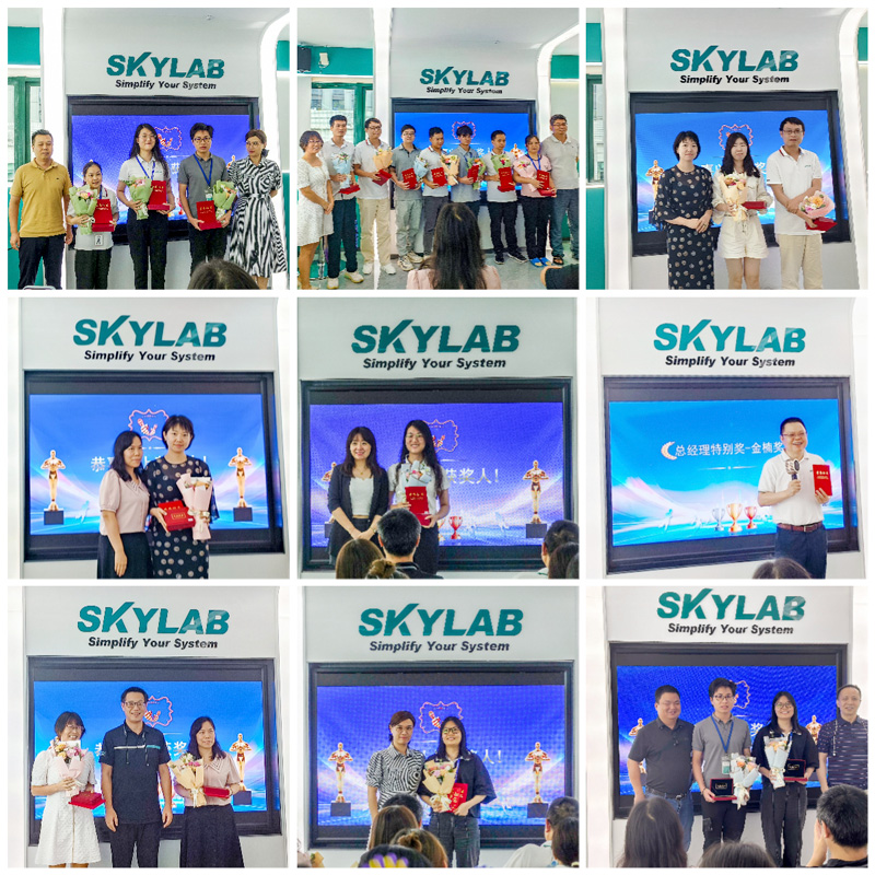 凝心聚力，筑梦前行|SKYLAB 2022年度表彰大会精彩回顾.jpg